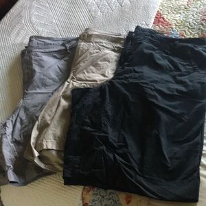 Lane Bryant women’s shorts